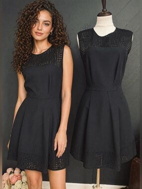 J. Crew Black Sleeveless Fit-and-Flare Mini Dress